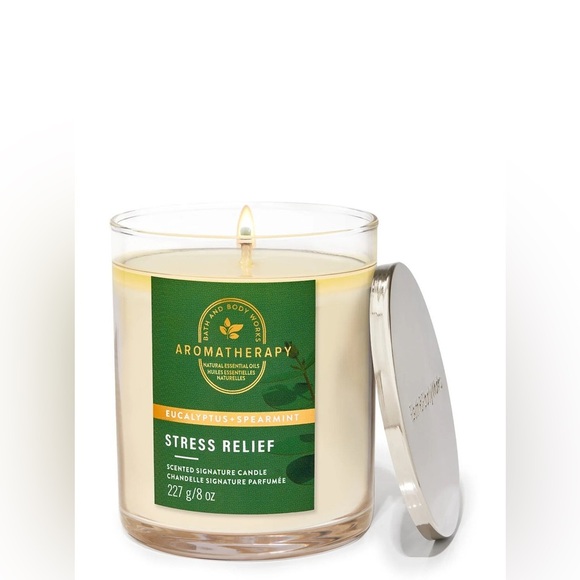 BBW Eucalyptus + Spearmint Single Wick Candle - Picture 1 of 1